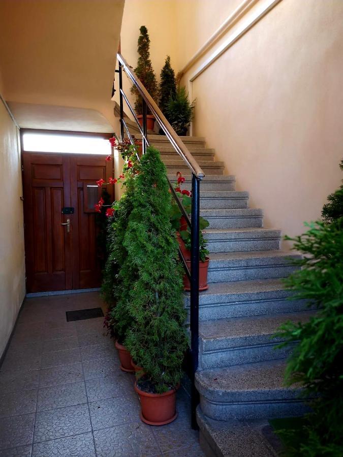 Villa Casa Ioana Braşov Exterior foto