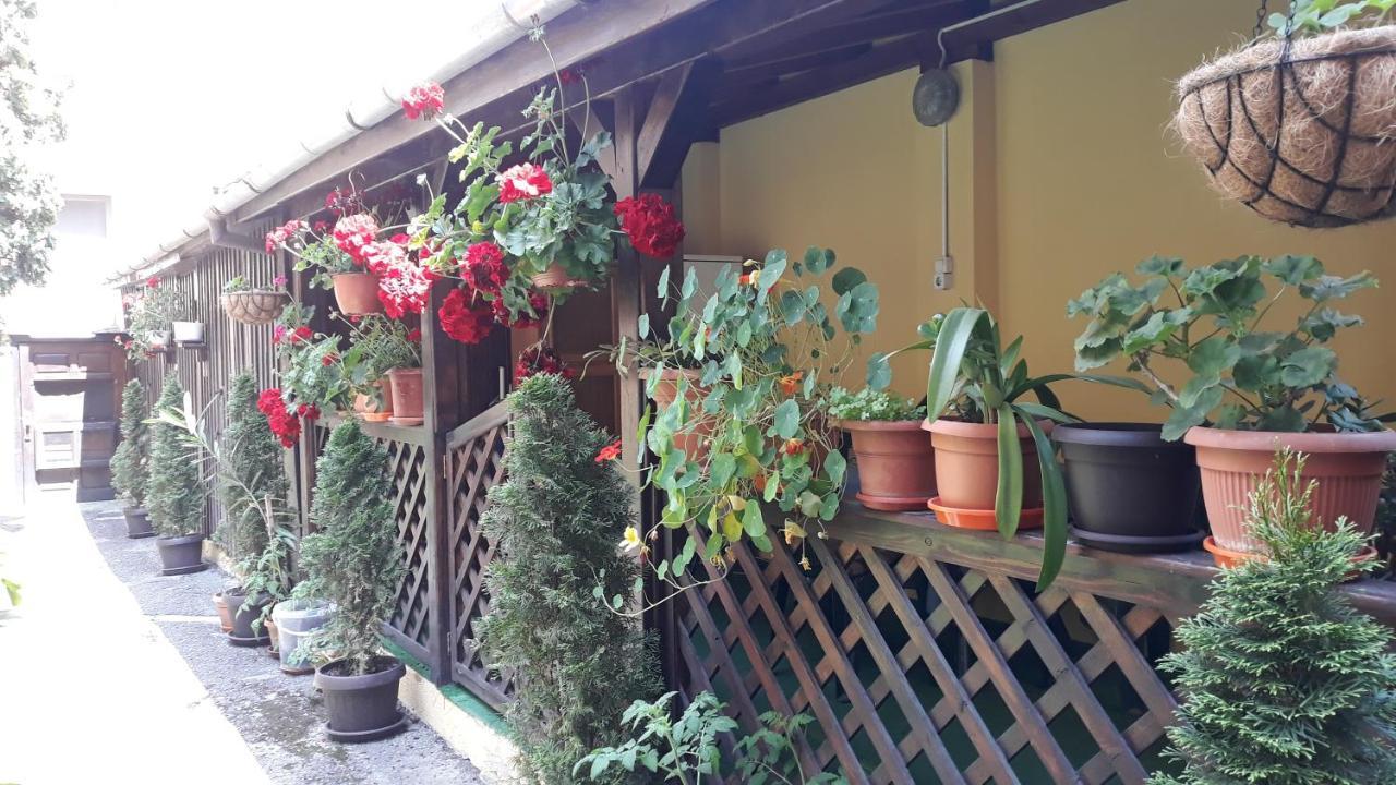 Villa Casa Ioana Braşov Exterior foto