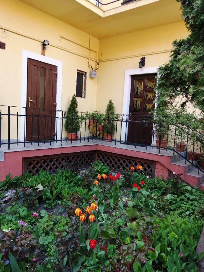 Villa Casa Ioana Braşov Exterior foto